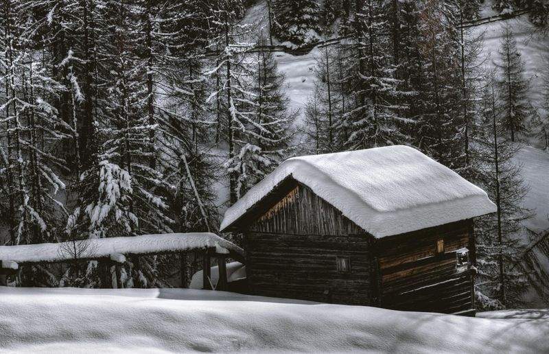 Schneemeister GmbH - Image 5